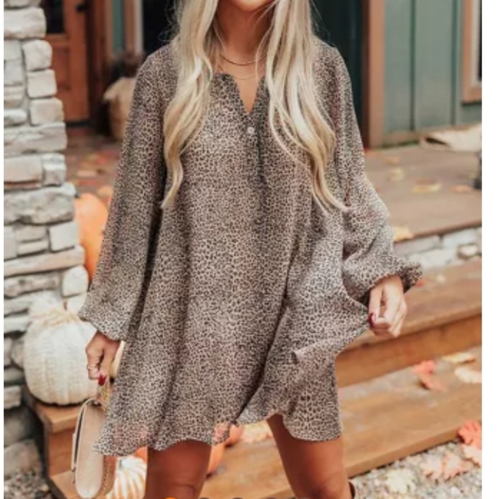 Leopard Print Mini Dress
